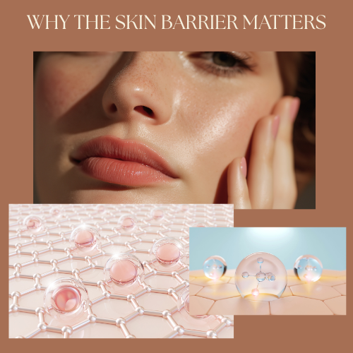 The Skin Barrier — Why It Matters (Especially in Arizona)